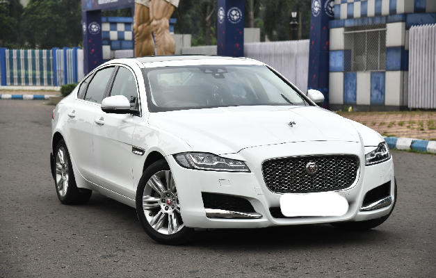 jaguar